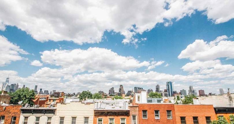 Our Brooklyn Backyards